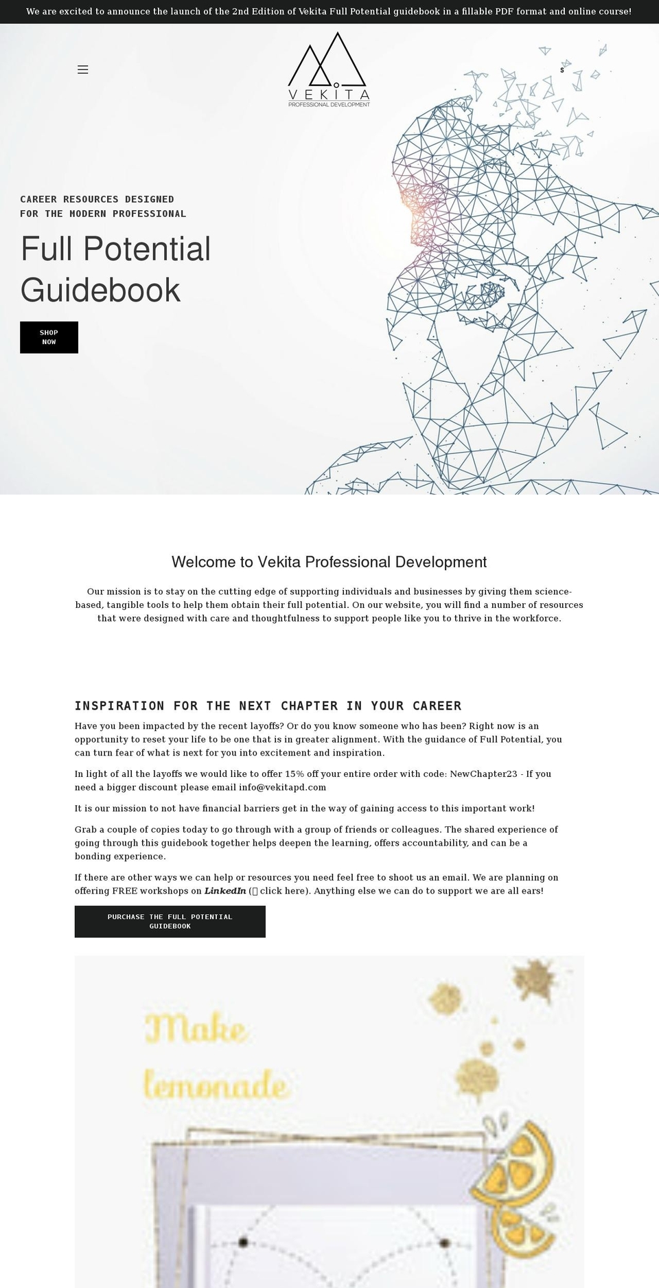 vekitapd.com shopify website screenshot