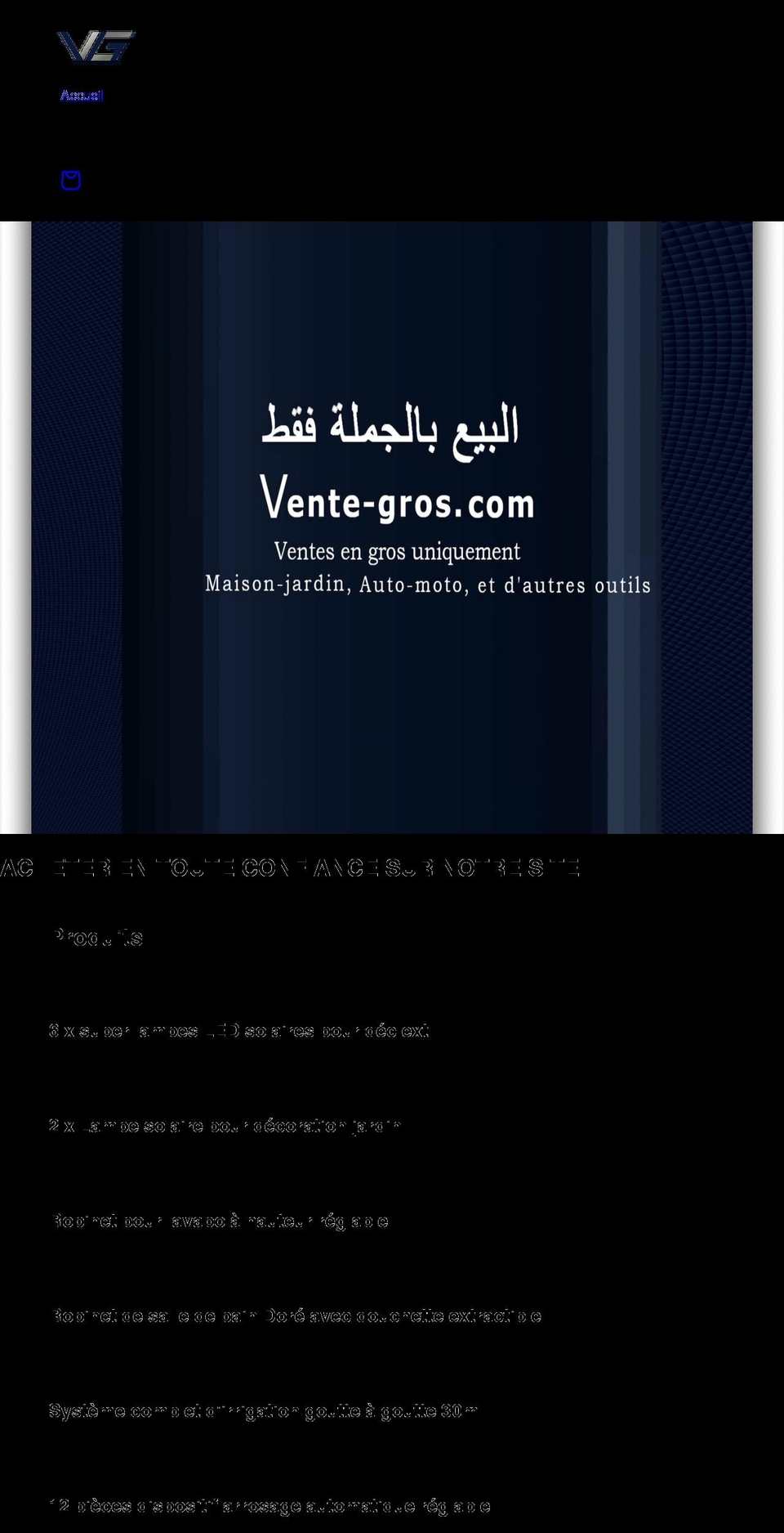 vente-gros.com shopify website screenshot