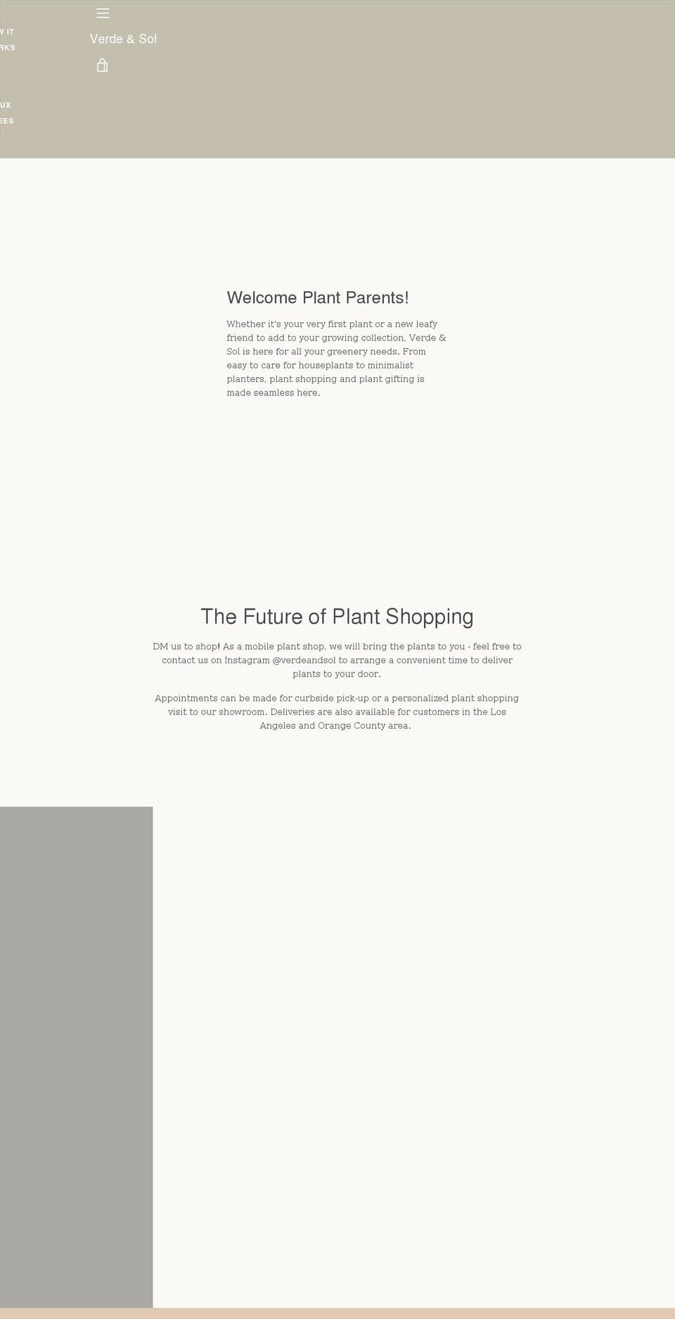 verdeandsol.com shopify website screenshot