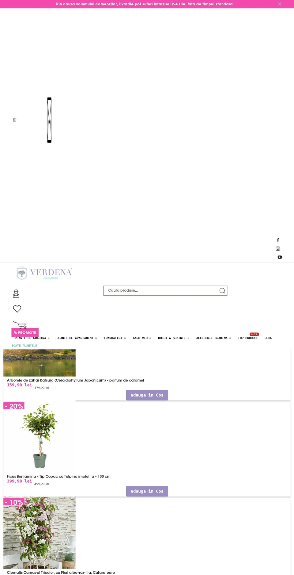 verdena.ro shopify website screenshot