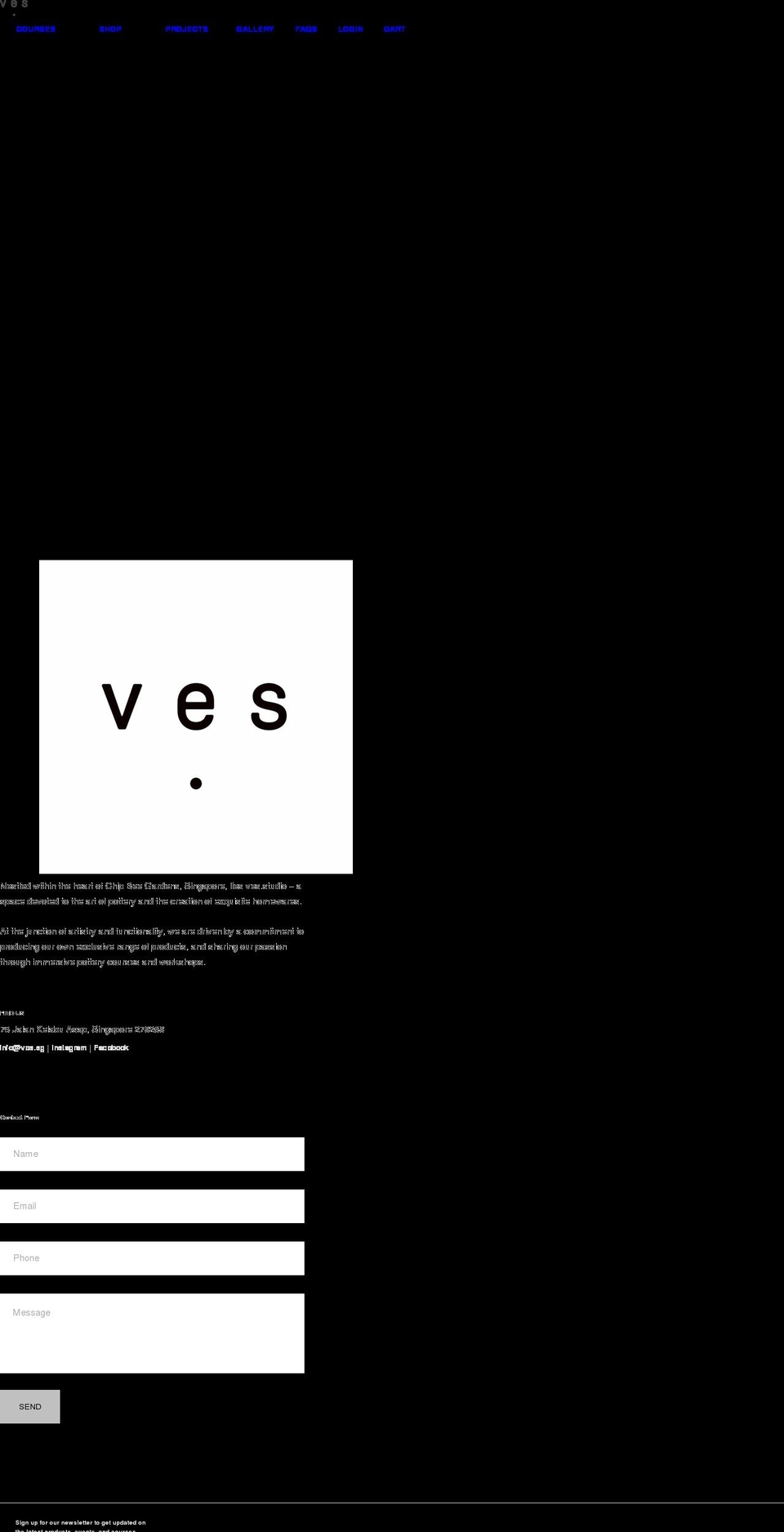 ves.sg shopify website screenshot