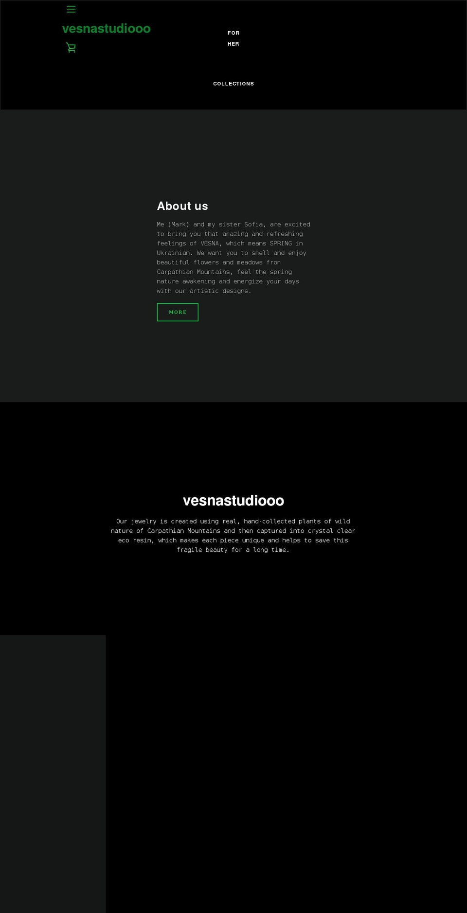 vesnastudiooo.com shopify website screenshot