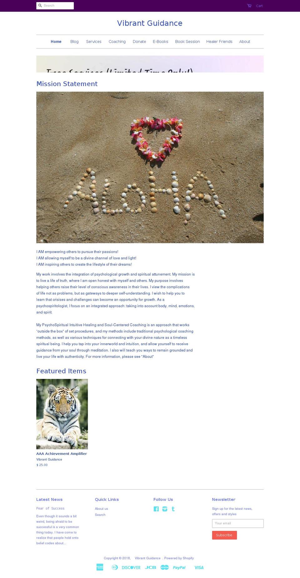 vibrantguidance.com shopify website screenshot