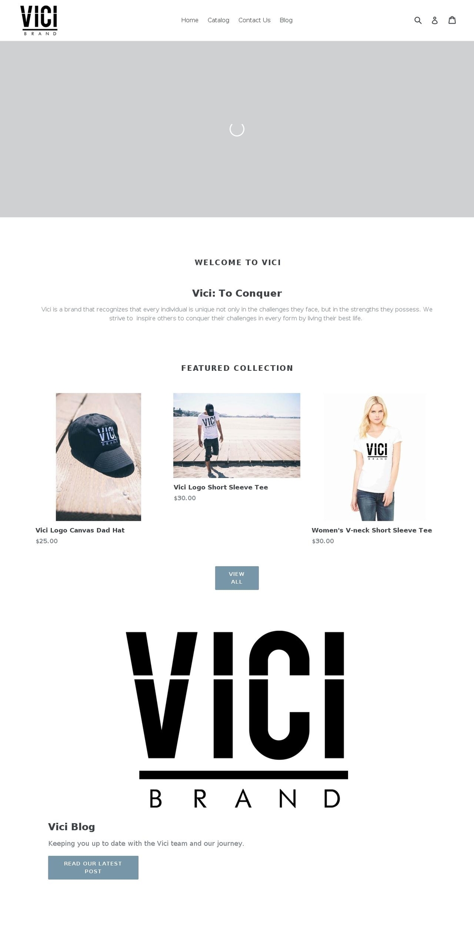 vicibrand.biz shopify website screenshot