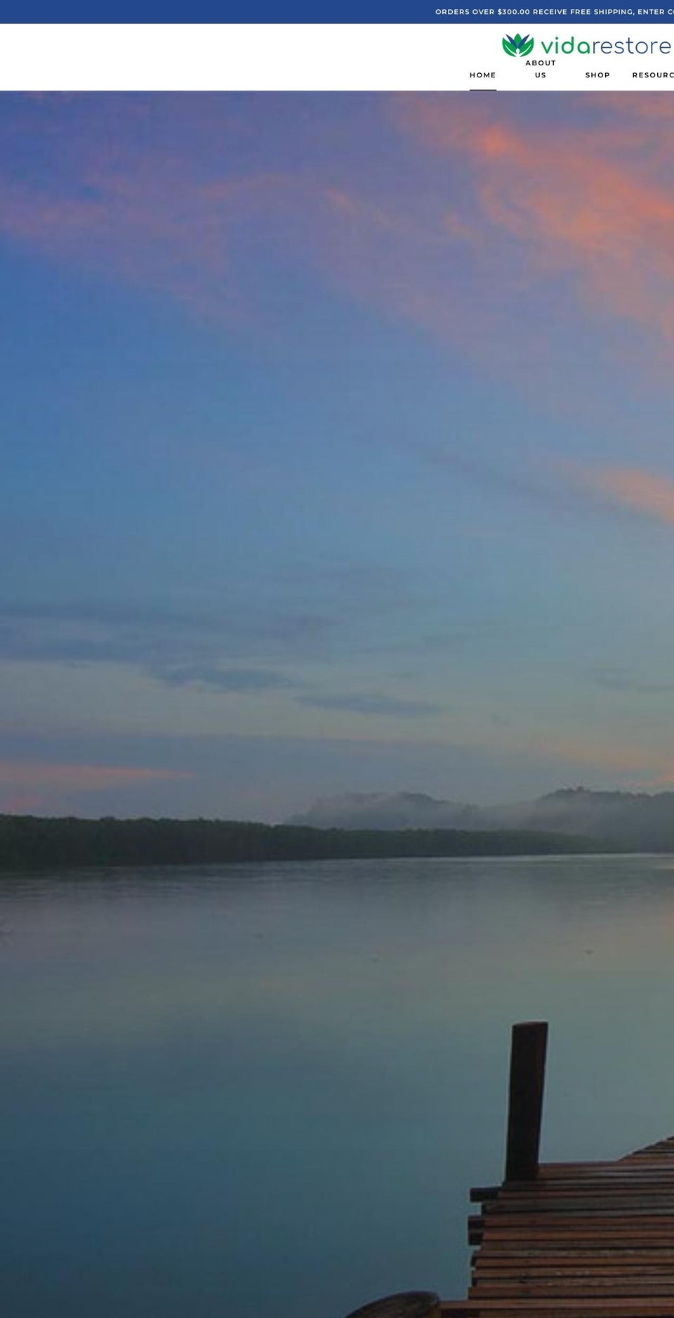 vidarestore.com shopify website screenshot