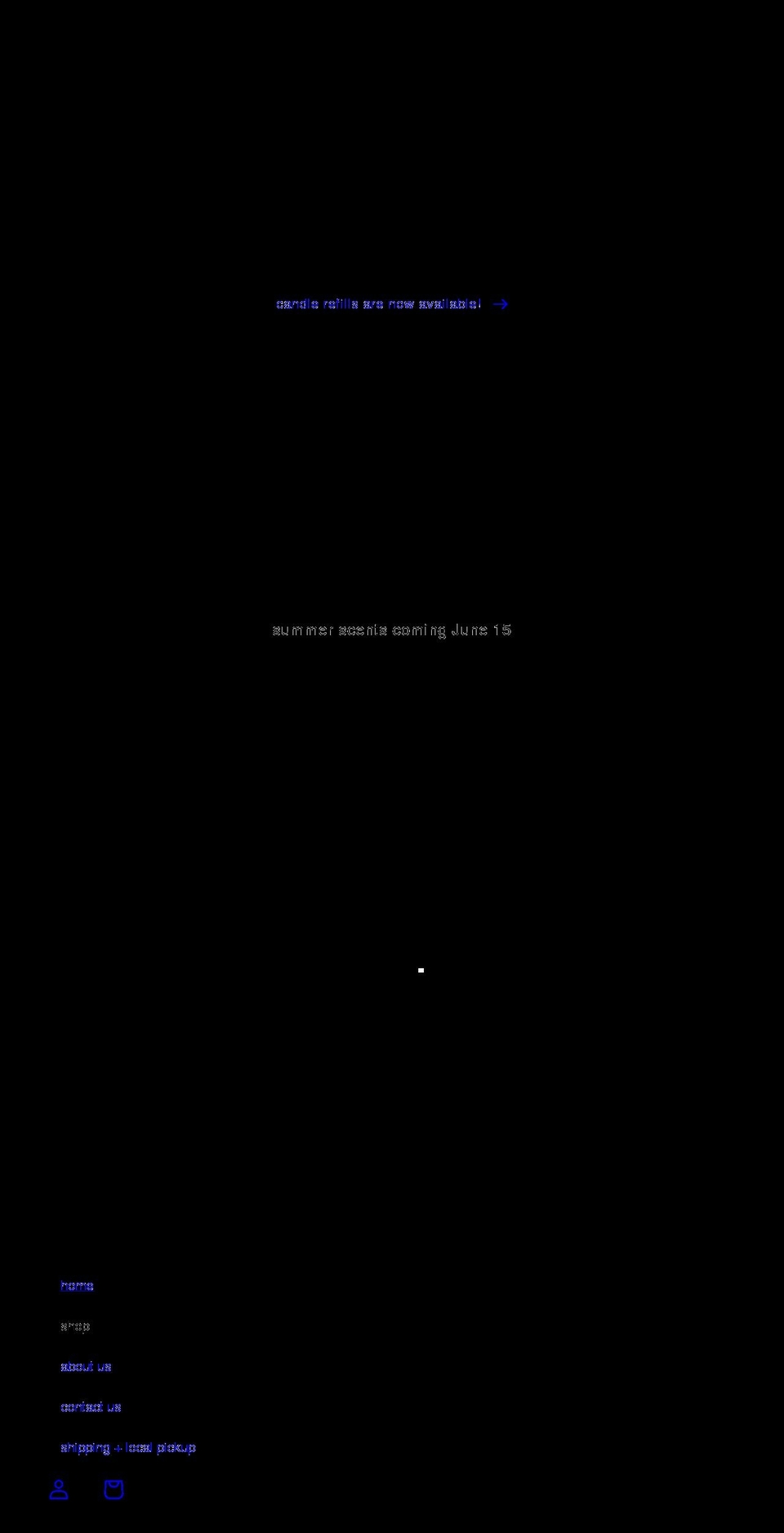 vidaswaxworks.com shopify website screenshot