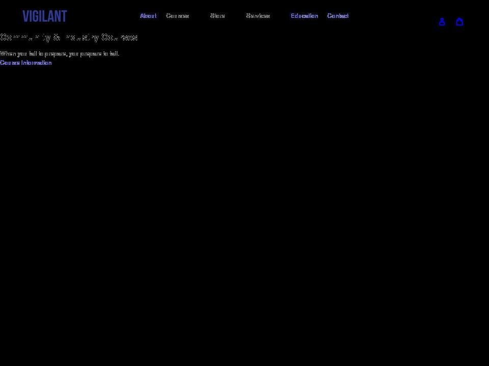 vigilantconsulting.net shopify website screenshot