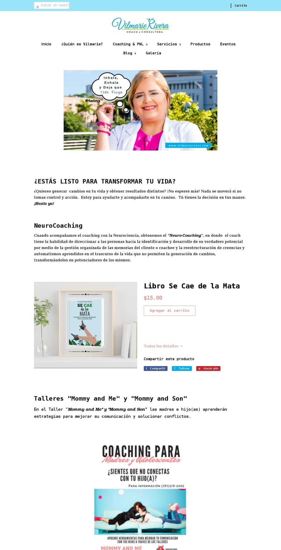 vilmarierivera.com shopify website screenshot