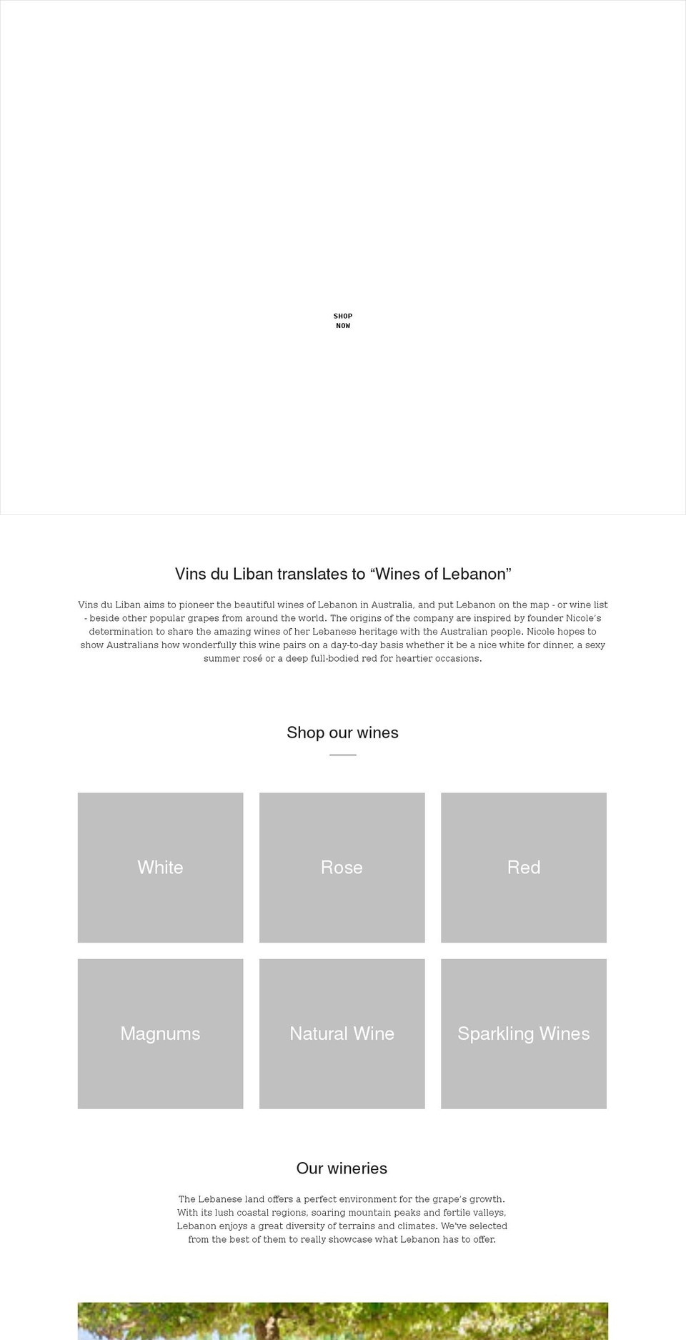 vinsduliban.com.au shopify website screenshot