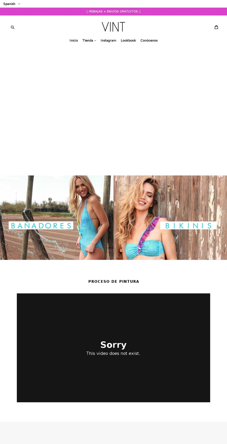 vintswimwear.com — Shopify storefront screenshot
