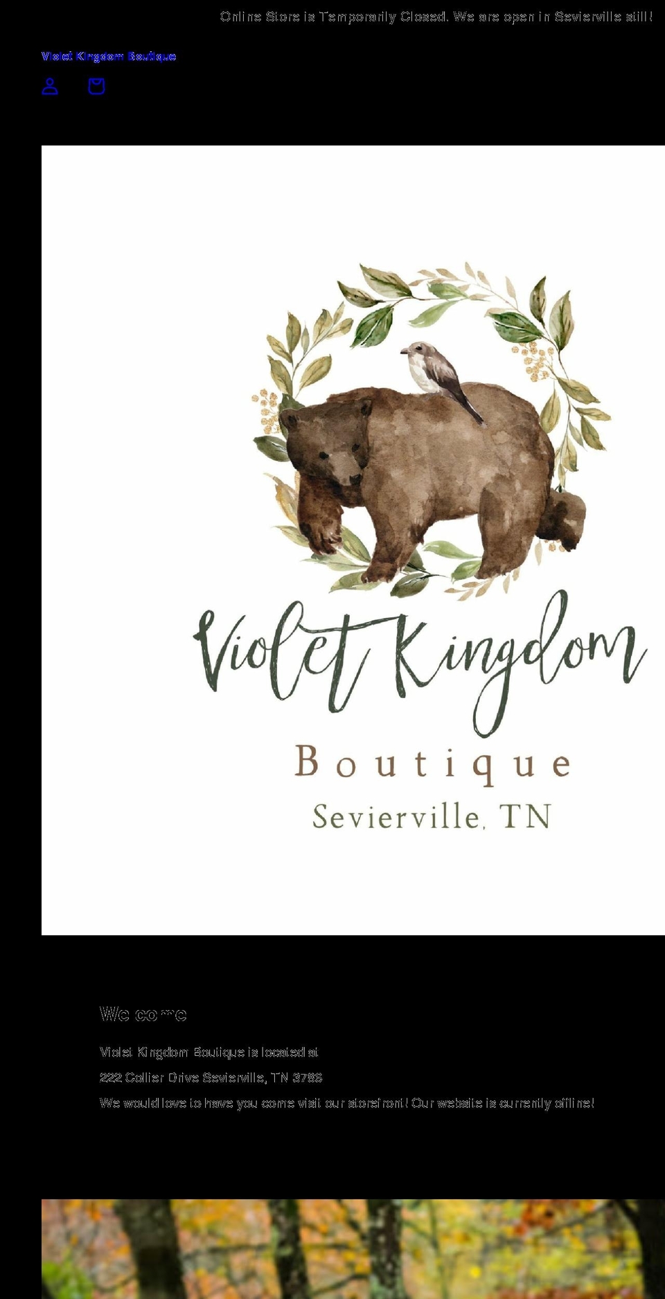 violetkingdom.shop shopify website screenshot