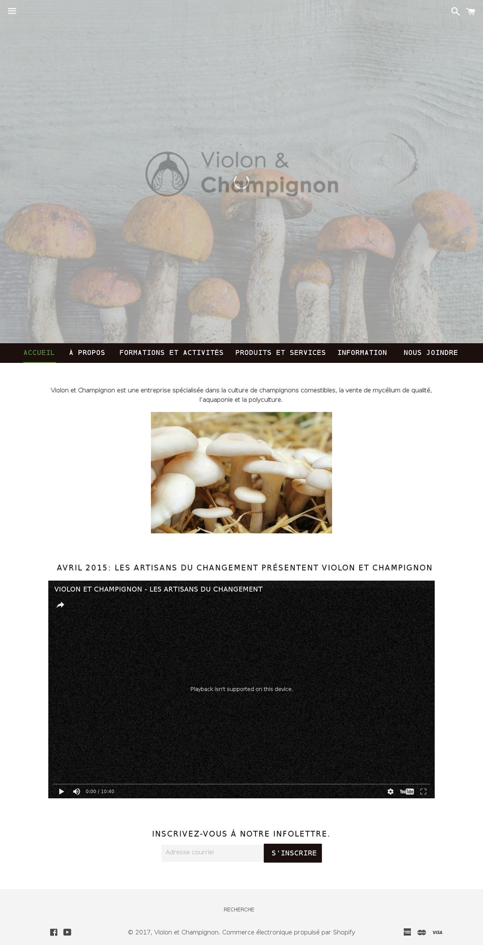 violonsetchampignons.com shopify website screenshot