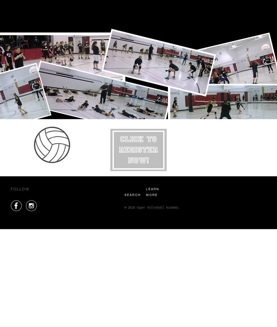 vipervolleyballacademy.com shopify website screenshot