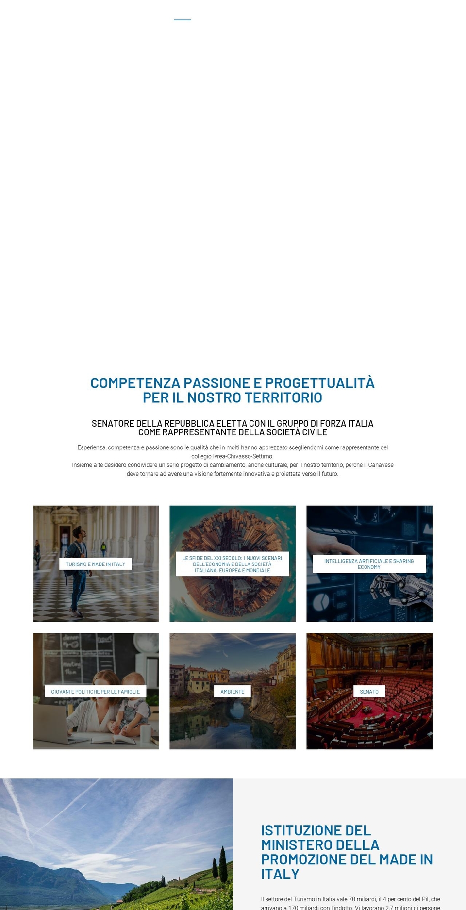virginiatiraboschi.com — Shopify storefront screenshot