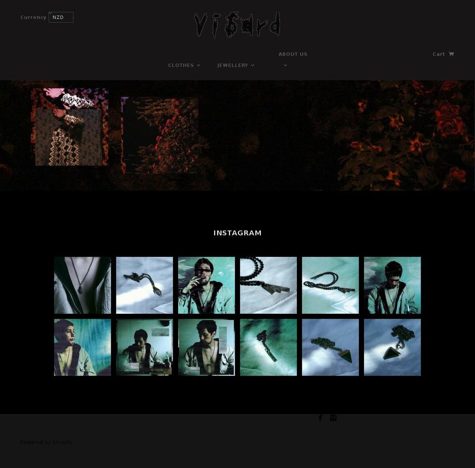 visard.net shopify website screenshot