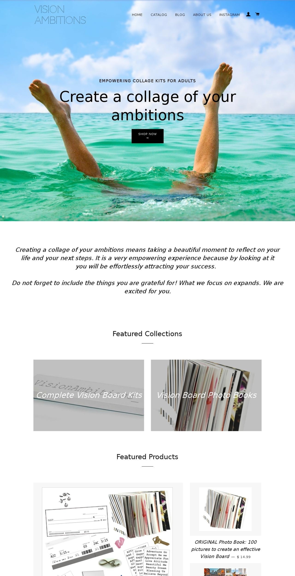 visionambitions.com shopify website screenshot