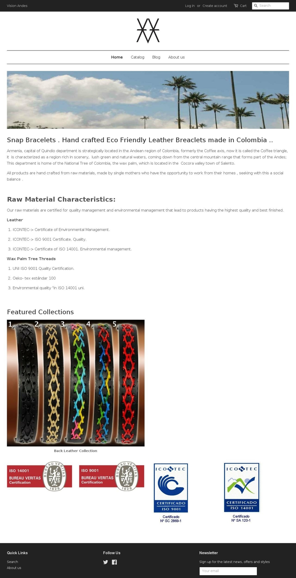 visionandes.com shopify website screenshot