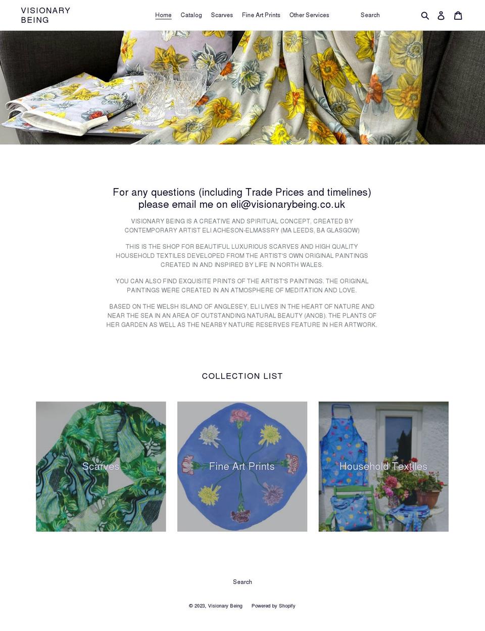 visionarybeing.co.uk shopify website screenshot