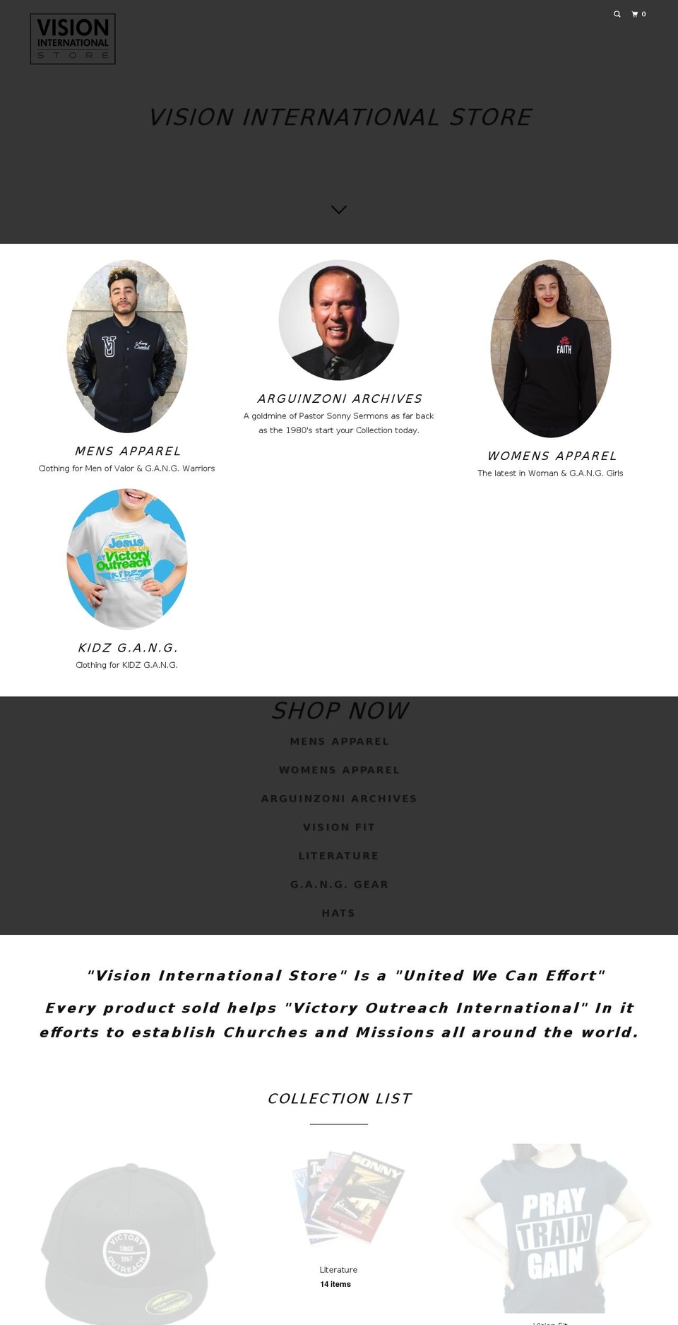 visionintlstore.com — Shopify storefront screenshot