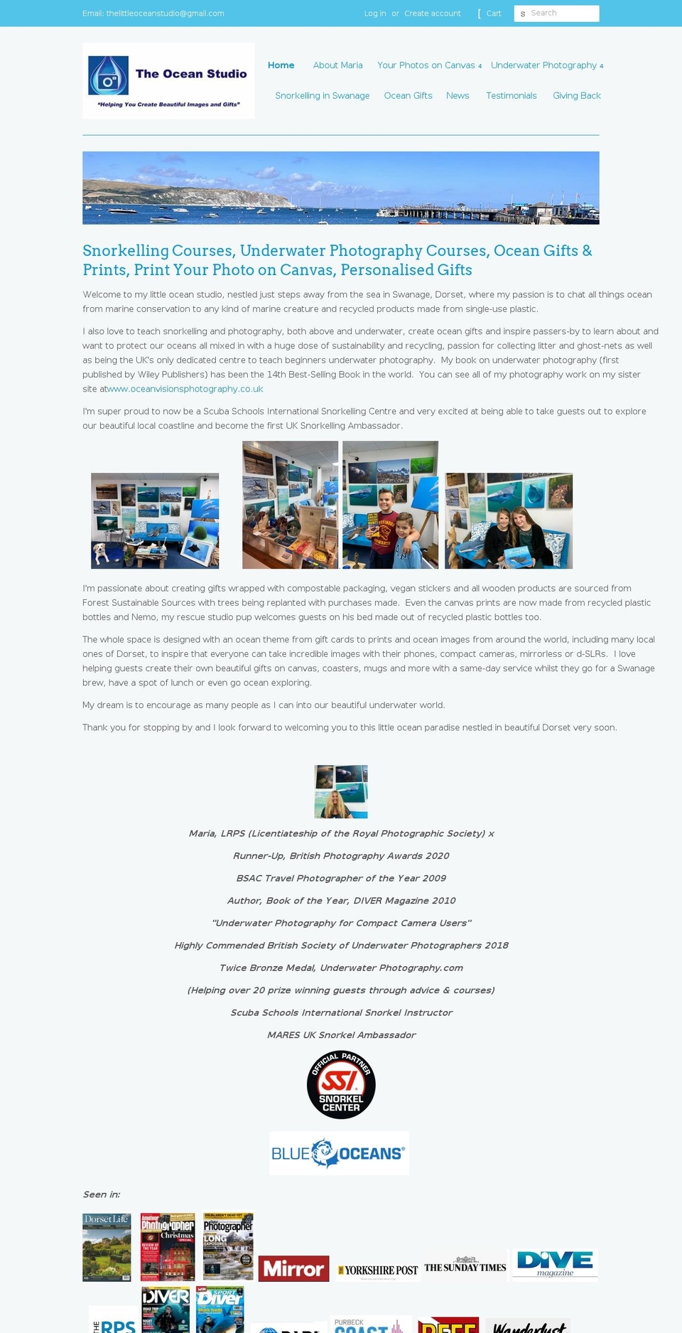 visions-gallery.myshopify.com shopify website screenshot