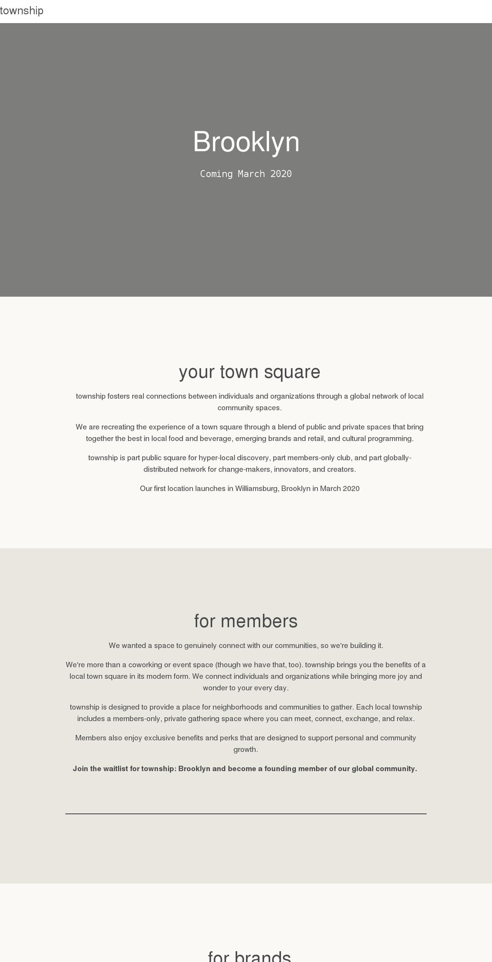 visittownship.com shopify website screenshot