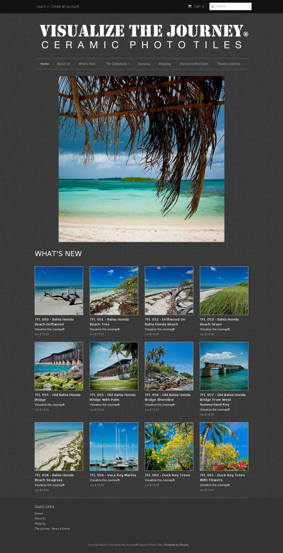 visualizethejourney.com shopify website screenshot