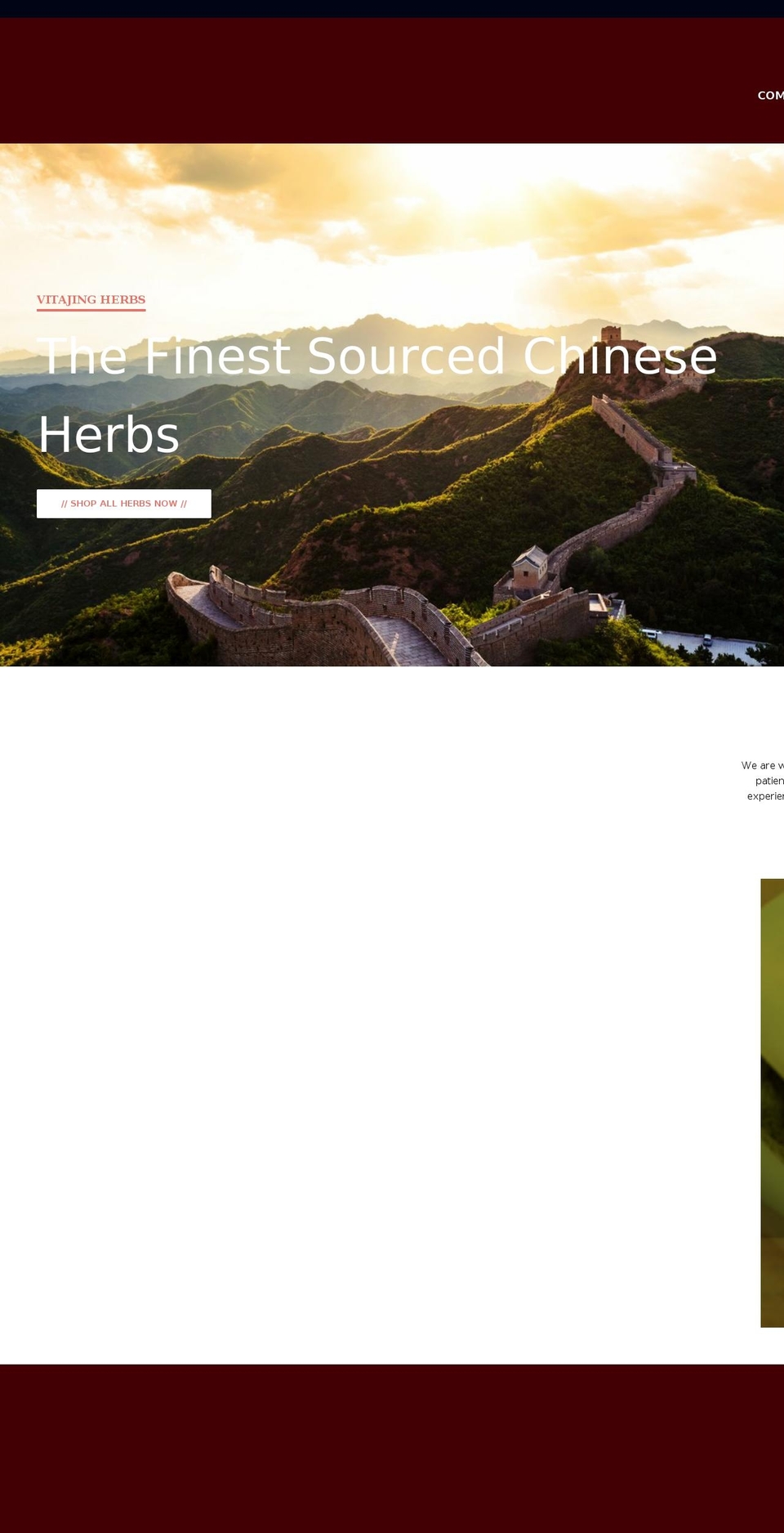 vitajing.org shopify website screenshot