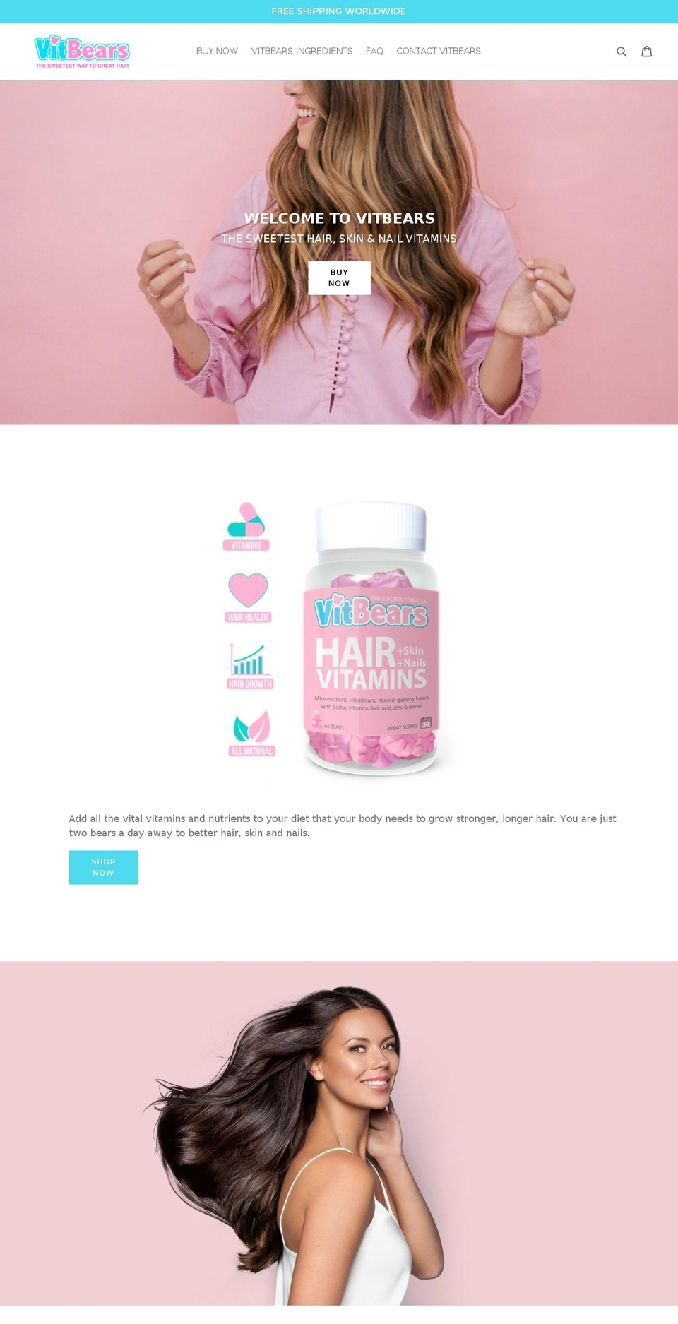 vitbears.com — Shopify storefront screenshot
