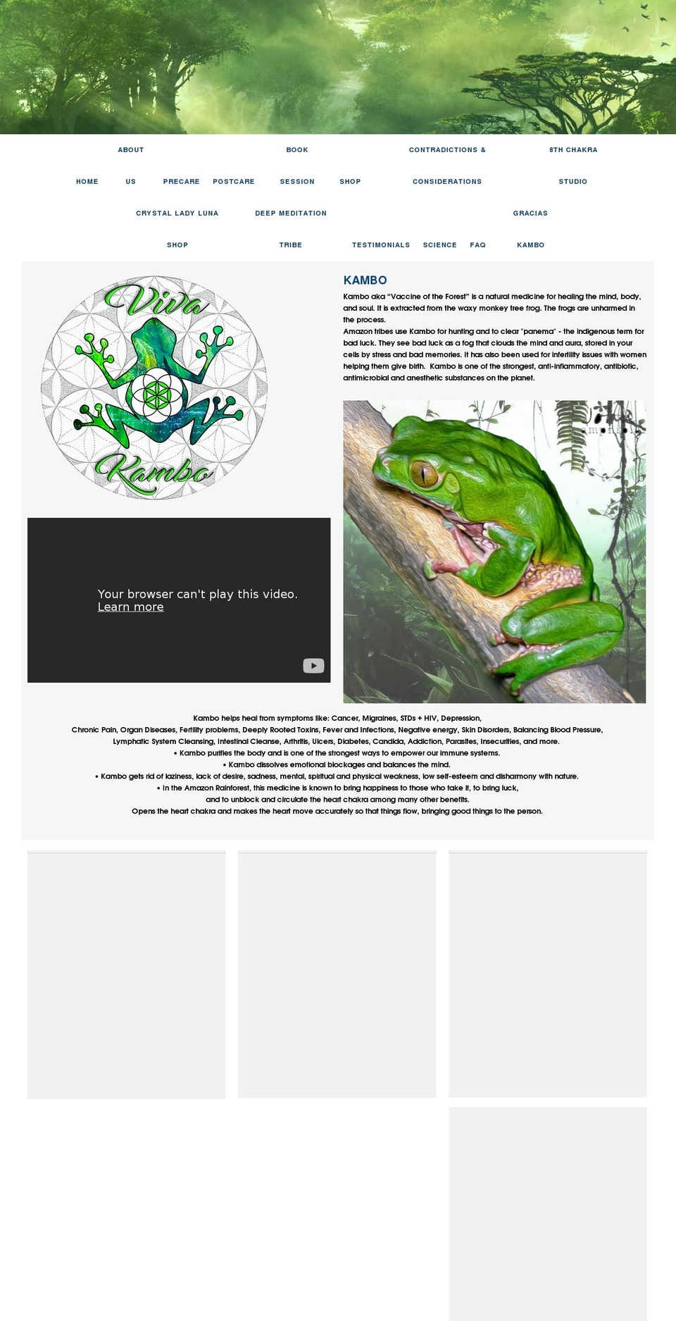 vivakambo.org shopify website screenshot