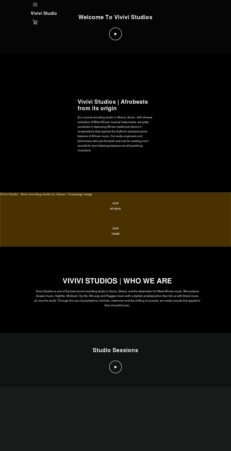 vivivistudios.com shopify website screenshot