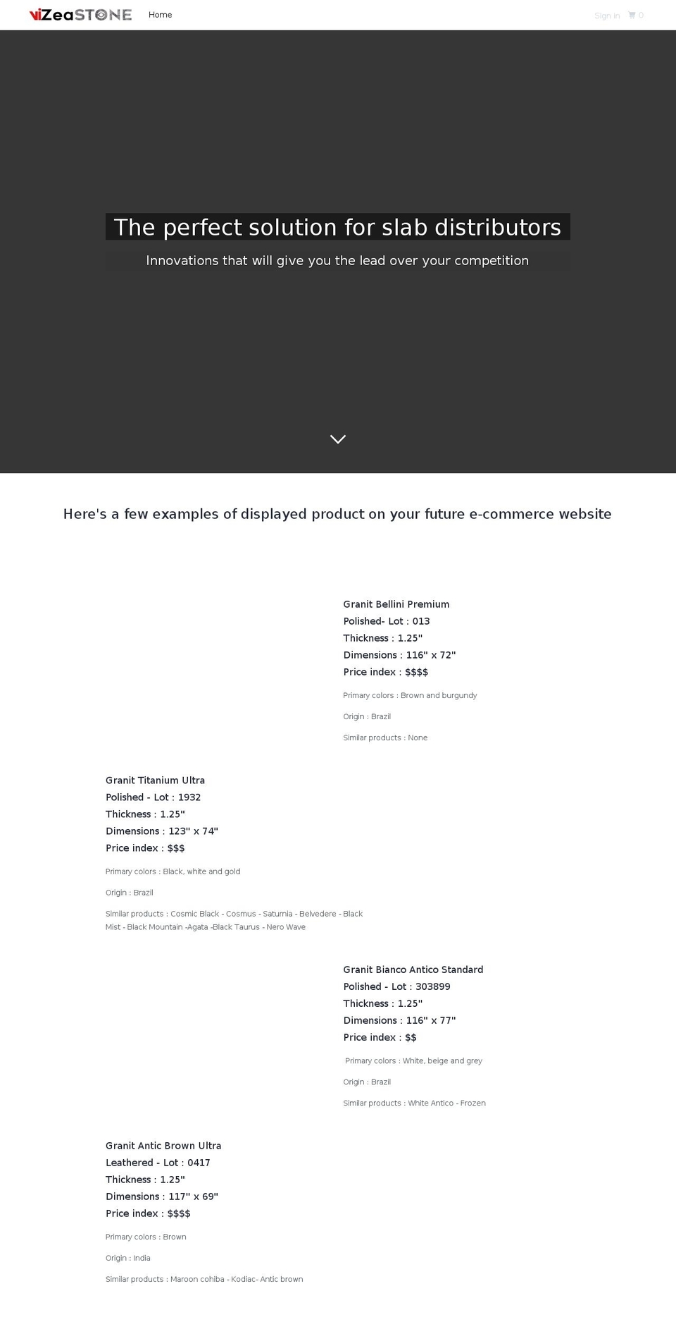 vizeastone.com — Shopify storefront screenshot