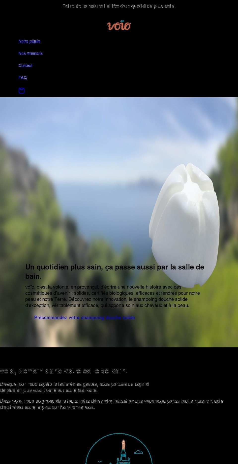 voio.fr shopify website screenshot