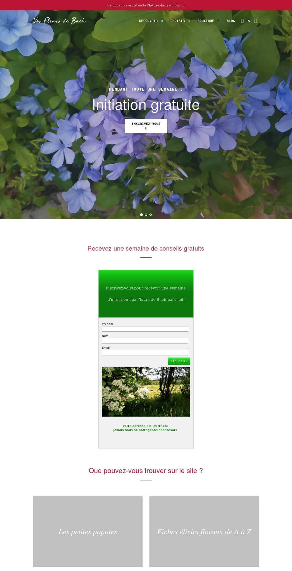 vosfleursdebach.com shopify website screenshot