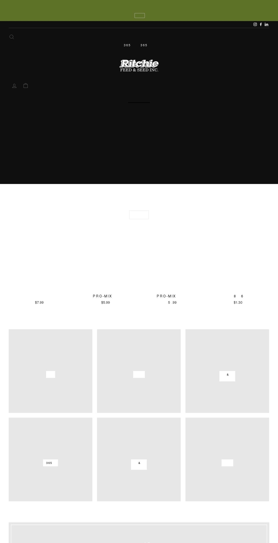 voteforpresident2020.com shopify website screenshot