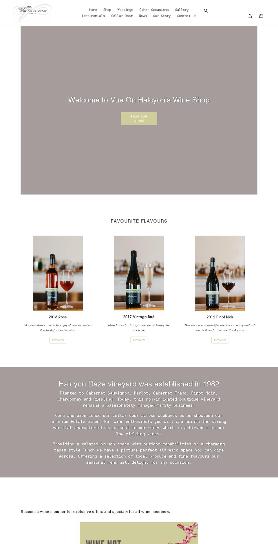 vue-on-halcyon.myshopify.com shopify website screenshot