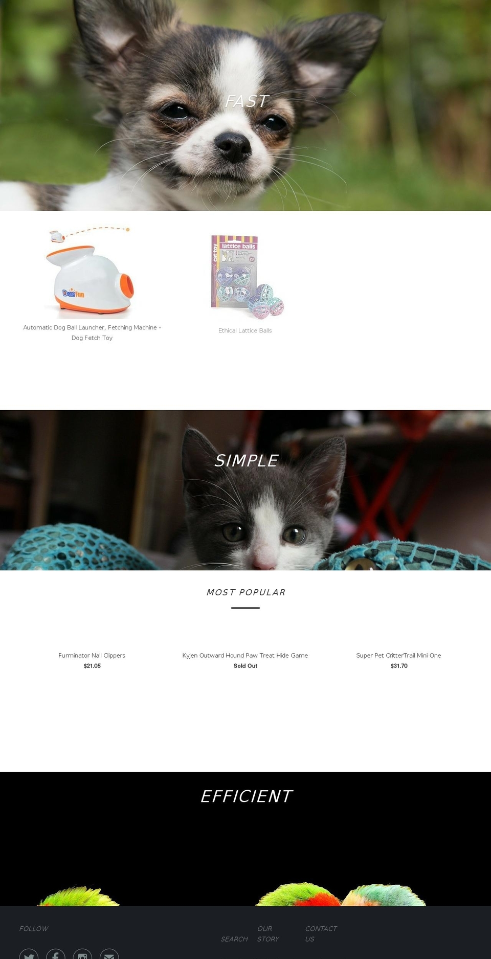 wafscorp.com shopify website screenshot