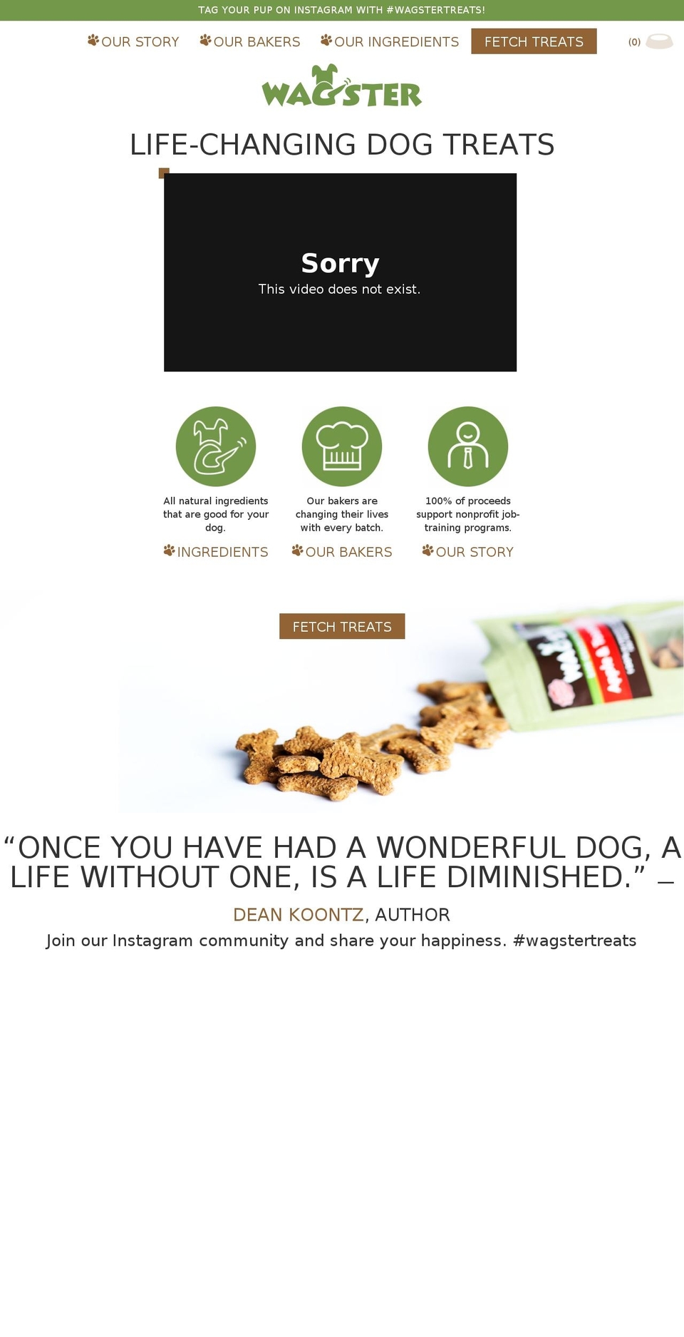wagstertreats.com shopify website screenshot