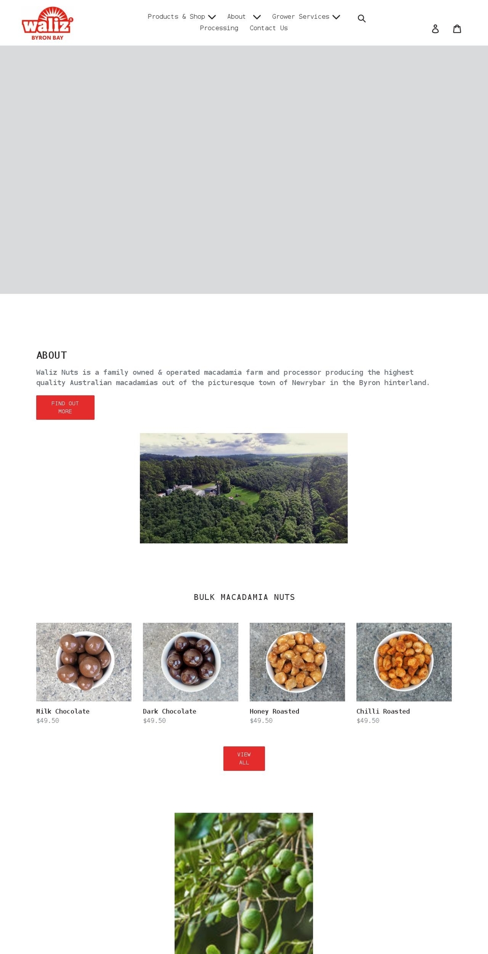 waliznuts.com shopify website screenshot