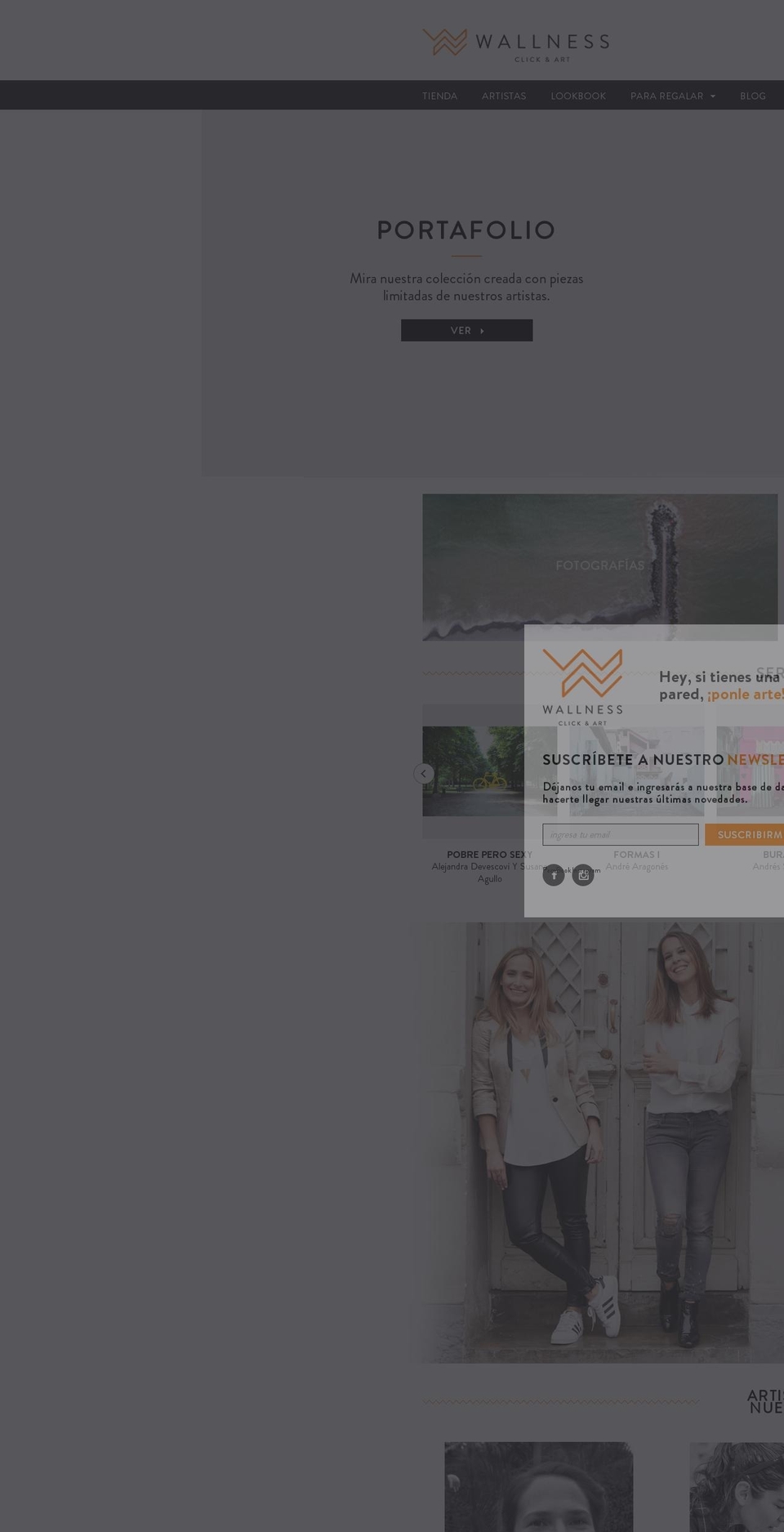 wallness.com shopify website screenshot