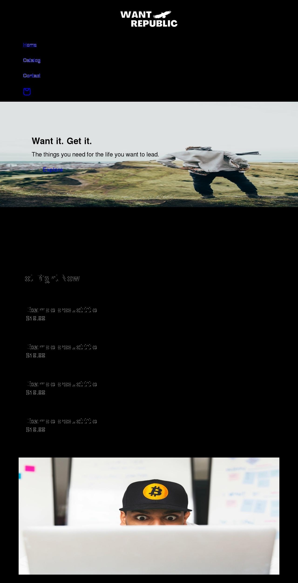 wantrepublic.com shopify website screenshot