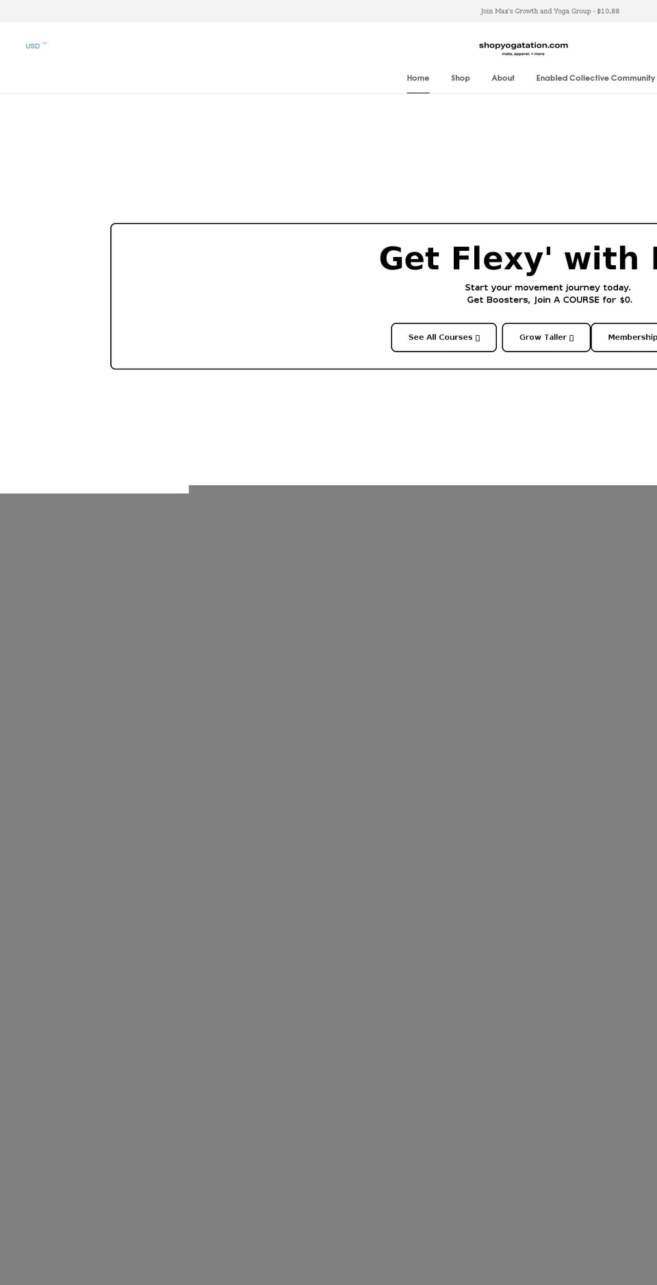 waterparksvintage.com shopify website screenshot