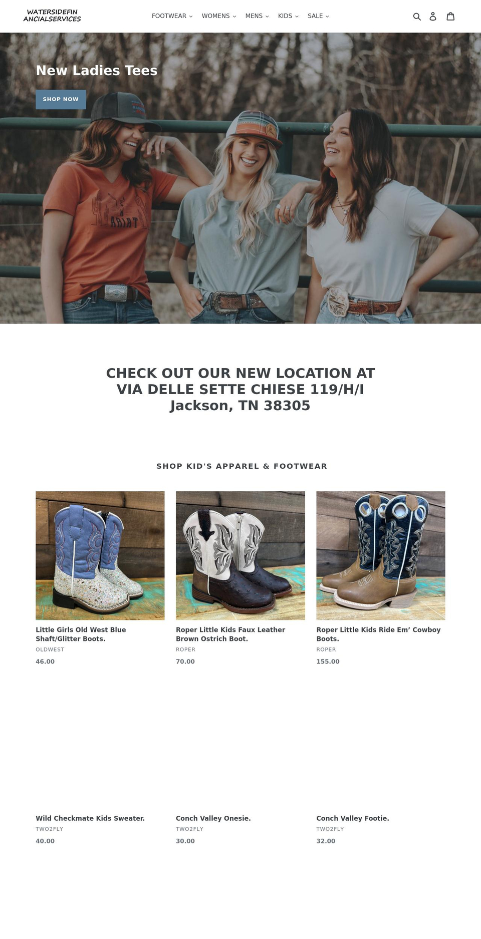 watersidefinancialservices.com shopify website screenshot