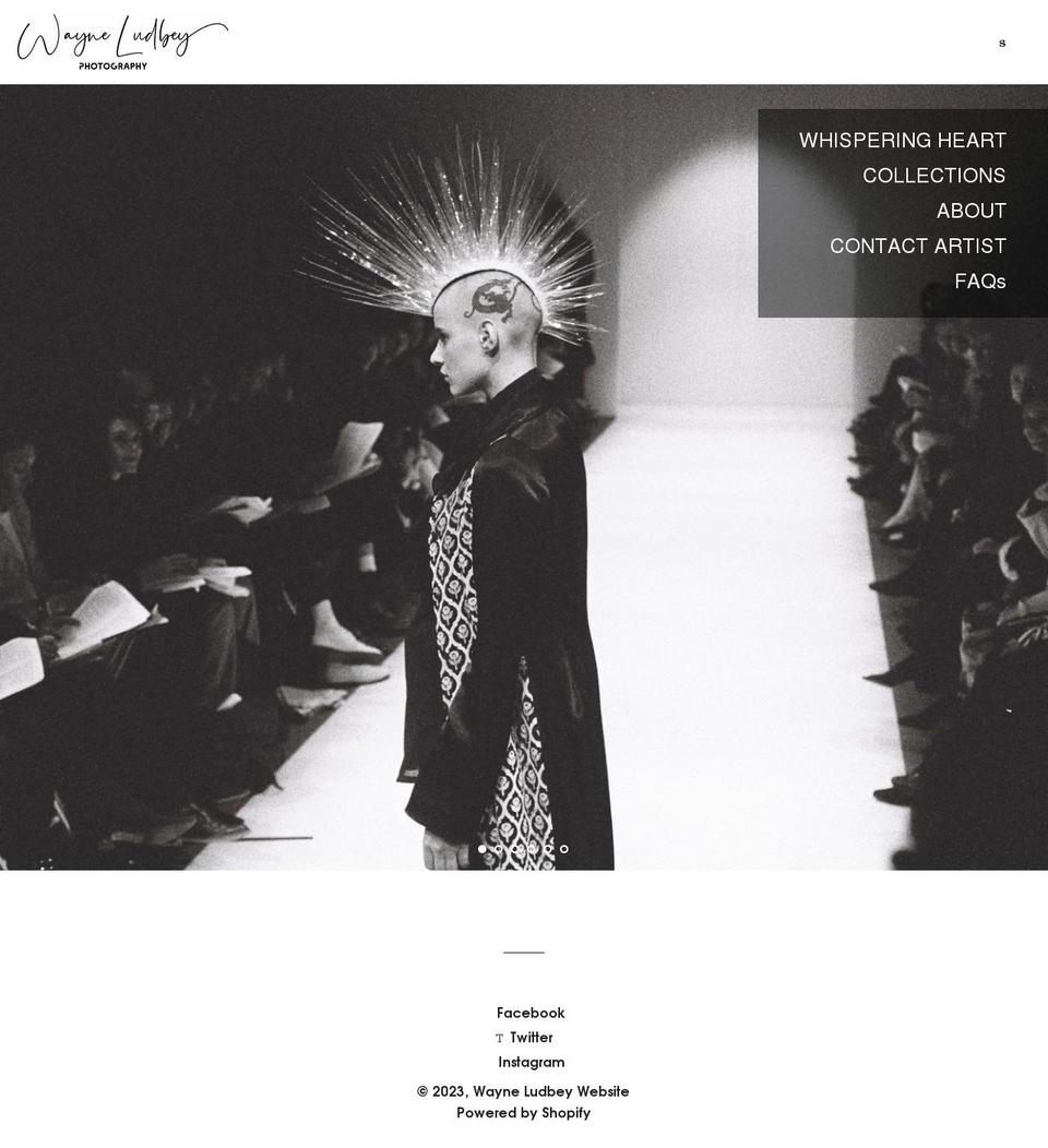 wayneludbey.com.au shopify website screenshot