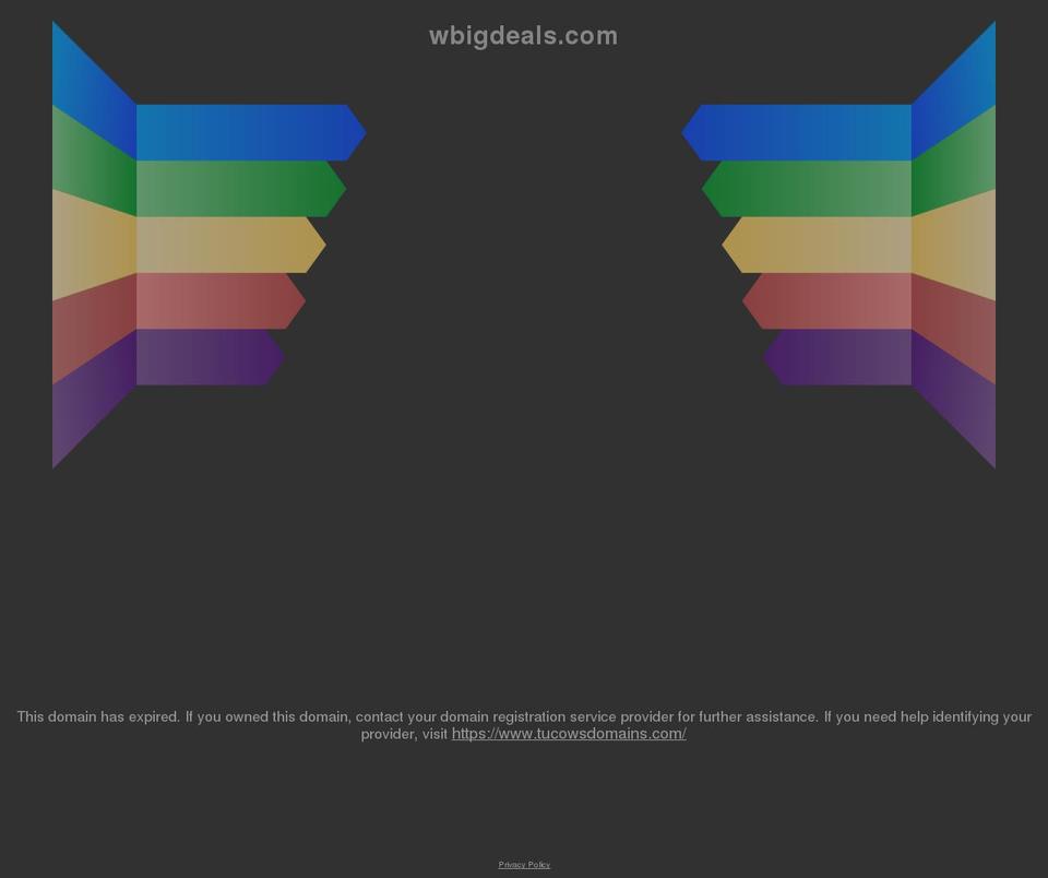 wbigdeals.com shopify website screenshot