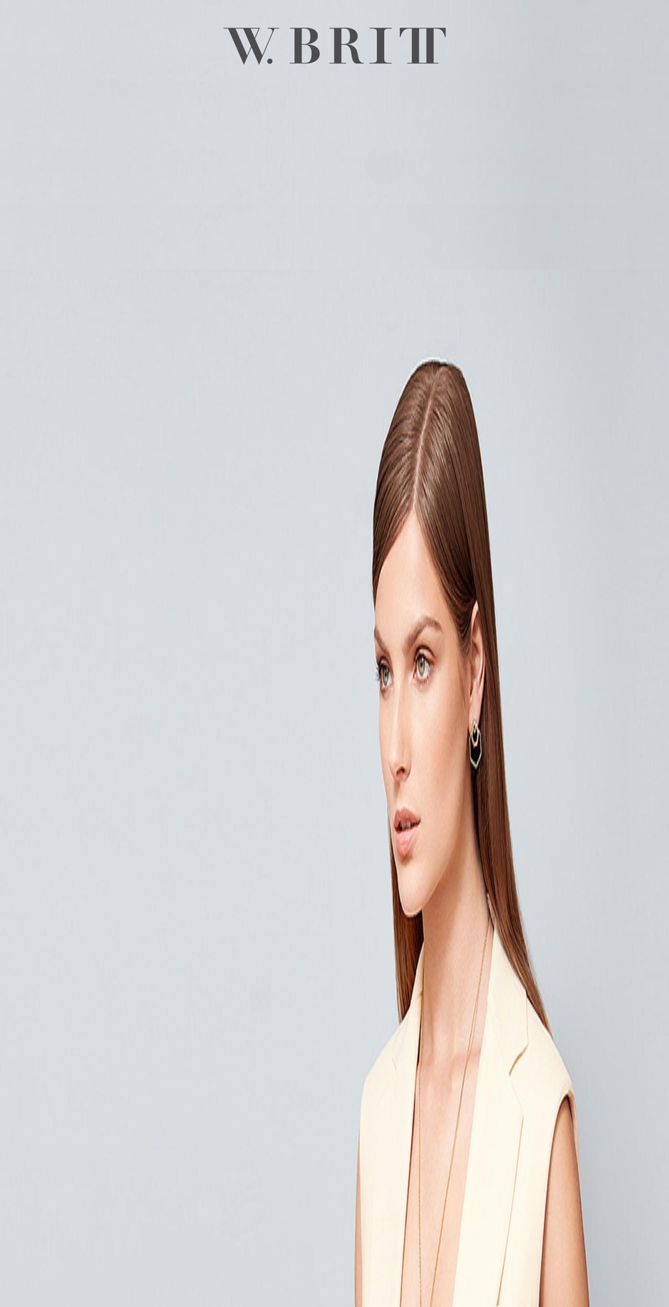 wbritt.com shopify website screenshot