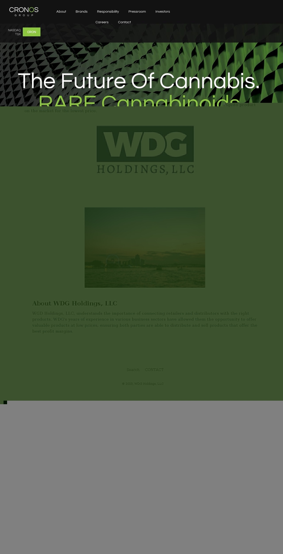 wdgholdings.com shopify website screenshot