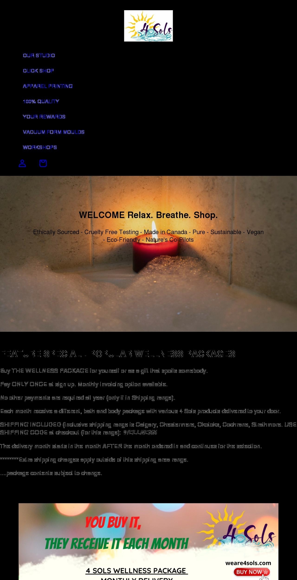 weare4sols.com shopify website screenshot