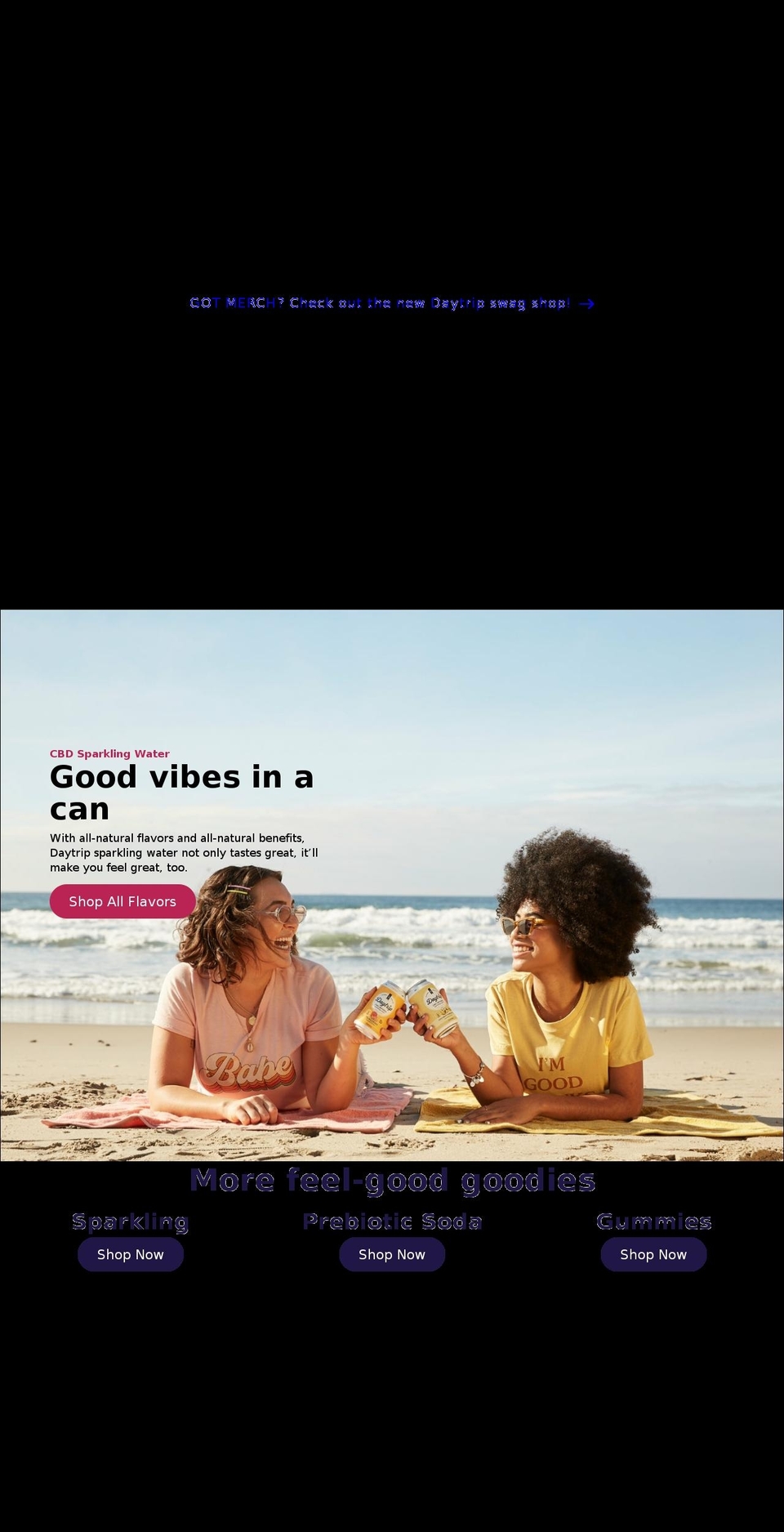 wearedaytrip.com shopify website screenshot