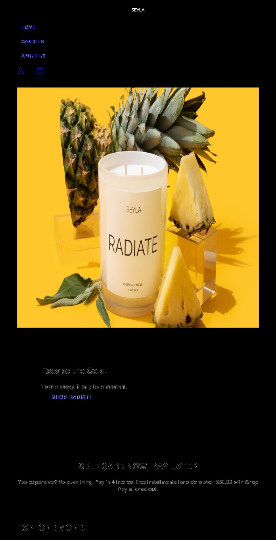 weareseyla.com shopify website screenshot