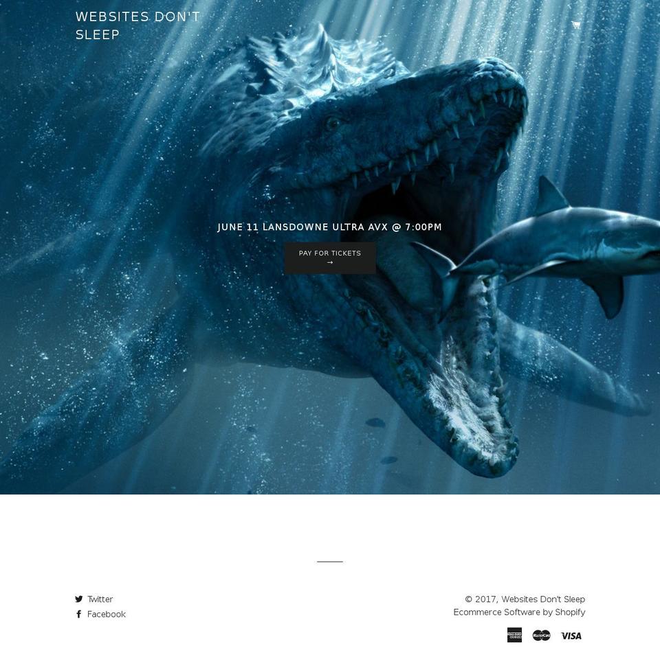 websitesdontsleep.com shopify website screenshot